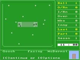 In game image of International One Day Cricket on the Commodore Amiga.
