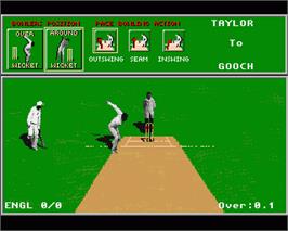 In game image of Its Cricket - International Test Series on the Commodore Amiga.