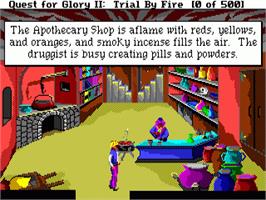 In game image of Quest For Glory 2 - Trial By Fire on the Commodore Amiga.