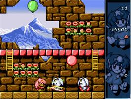 In game image of Rodland on the Commodore Amiga.