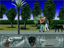 In game image of Wild Streets on the Commodore Amiga.