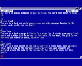 In game image of Zork 3 - The Dungeon Master on the Commodore Amiga.