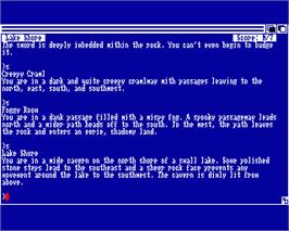 In game image of Zork III: The Dungeon Master on the Commodore Amiga.