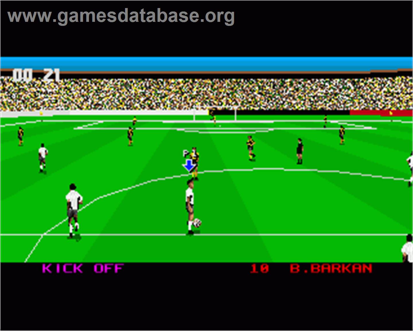 3d World Soccer - Commodore Amiga - Artwork - In Game