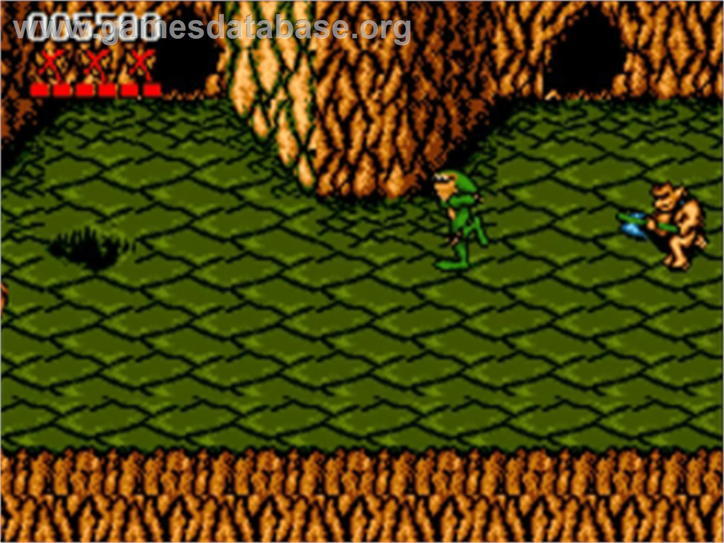 Battletoads - Commodore Amiga - Artwork - In Game