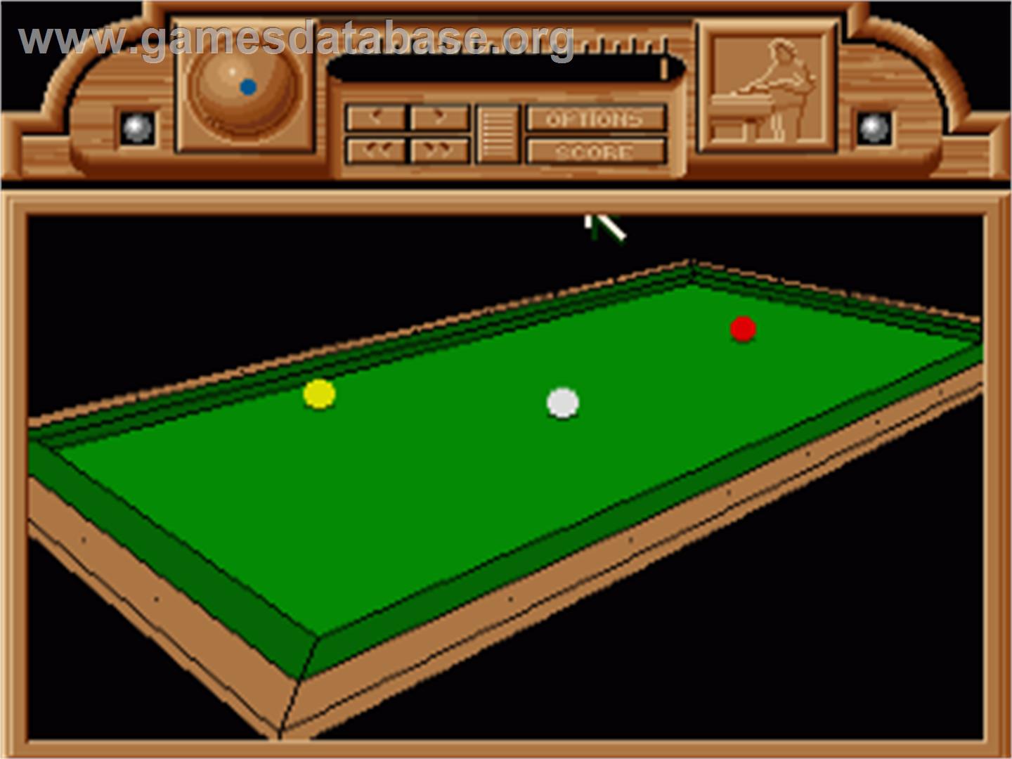 Billiards Simulator - Commodore Amiga - Artwork - In Game