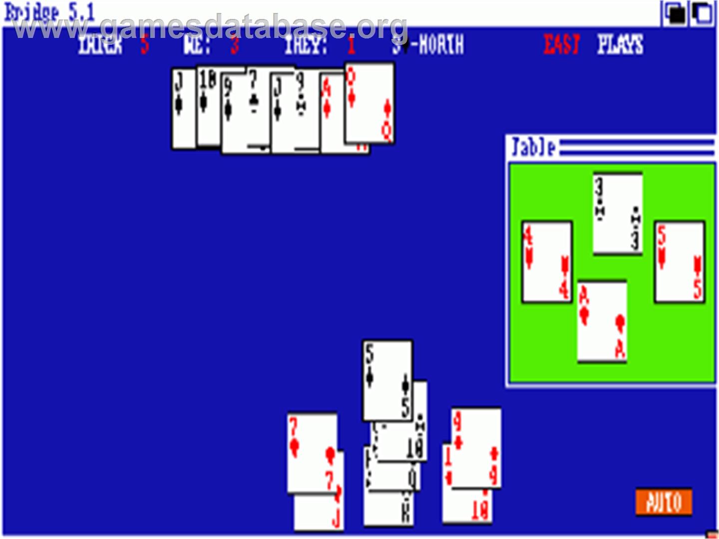 Bridge 5.0 - Commodore Amiga - Artwork - In Game