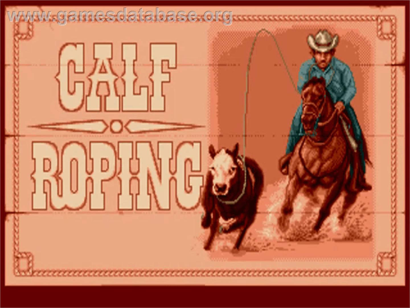 Buffalo Bill's Wild West Show - Commodore Amiga - Artwork - In Game