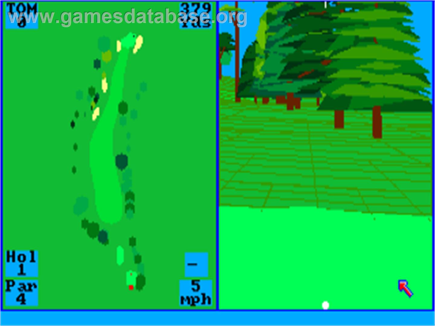 Championship Golf - The Great Courses Of The World - Volume I - Pebble Beach - Commodore Amiga - Artwork - In Game