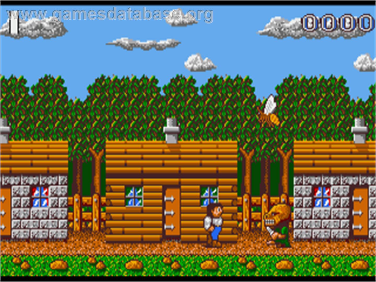 Chronicles Of Omega, The - Commodore Amiga - Artwork - In Game