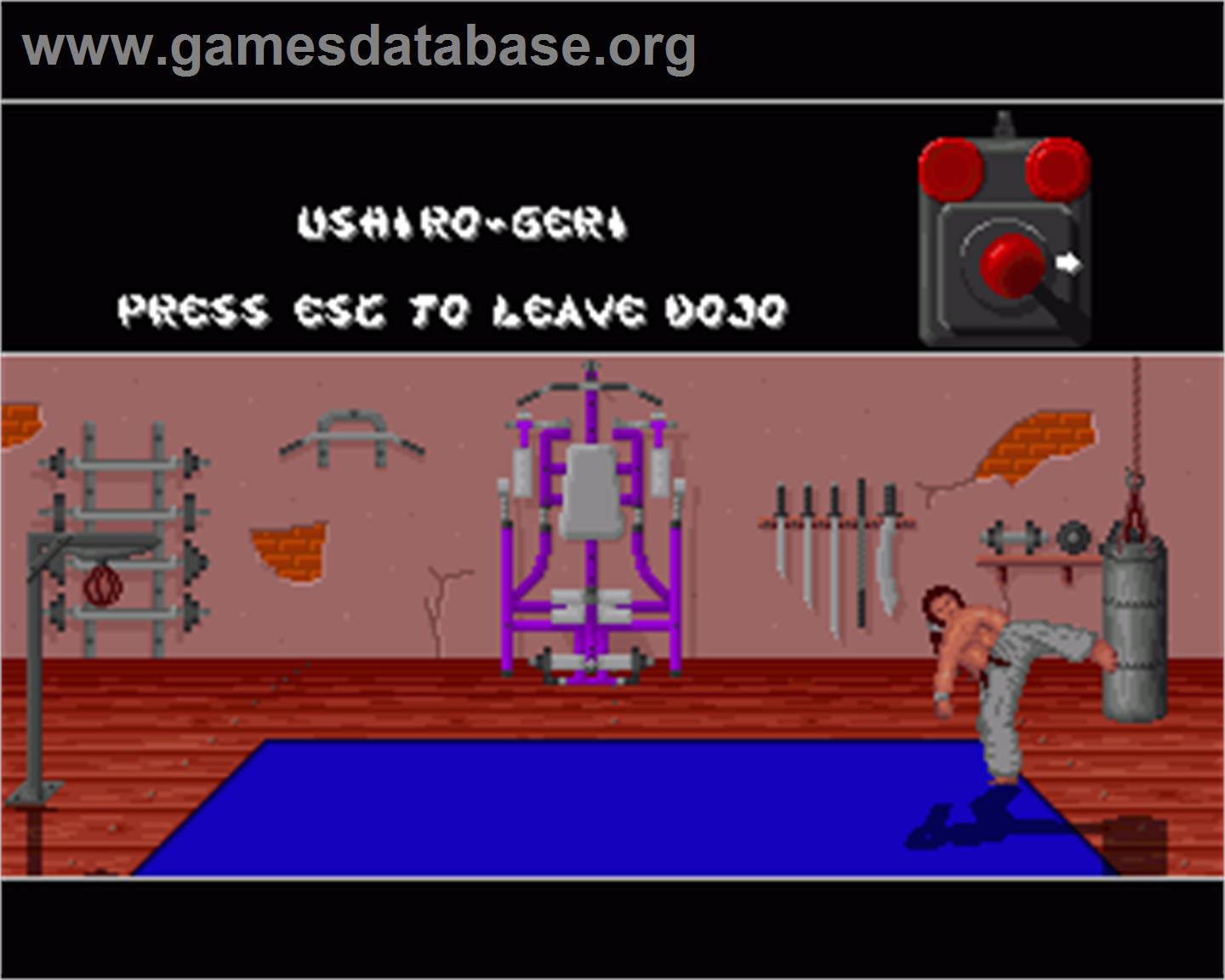 Cobra - Commodore Amiga - Artwork - In Game