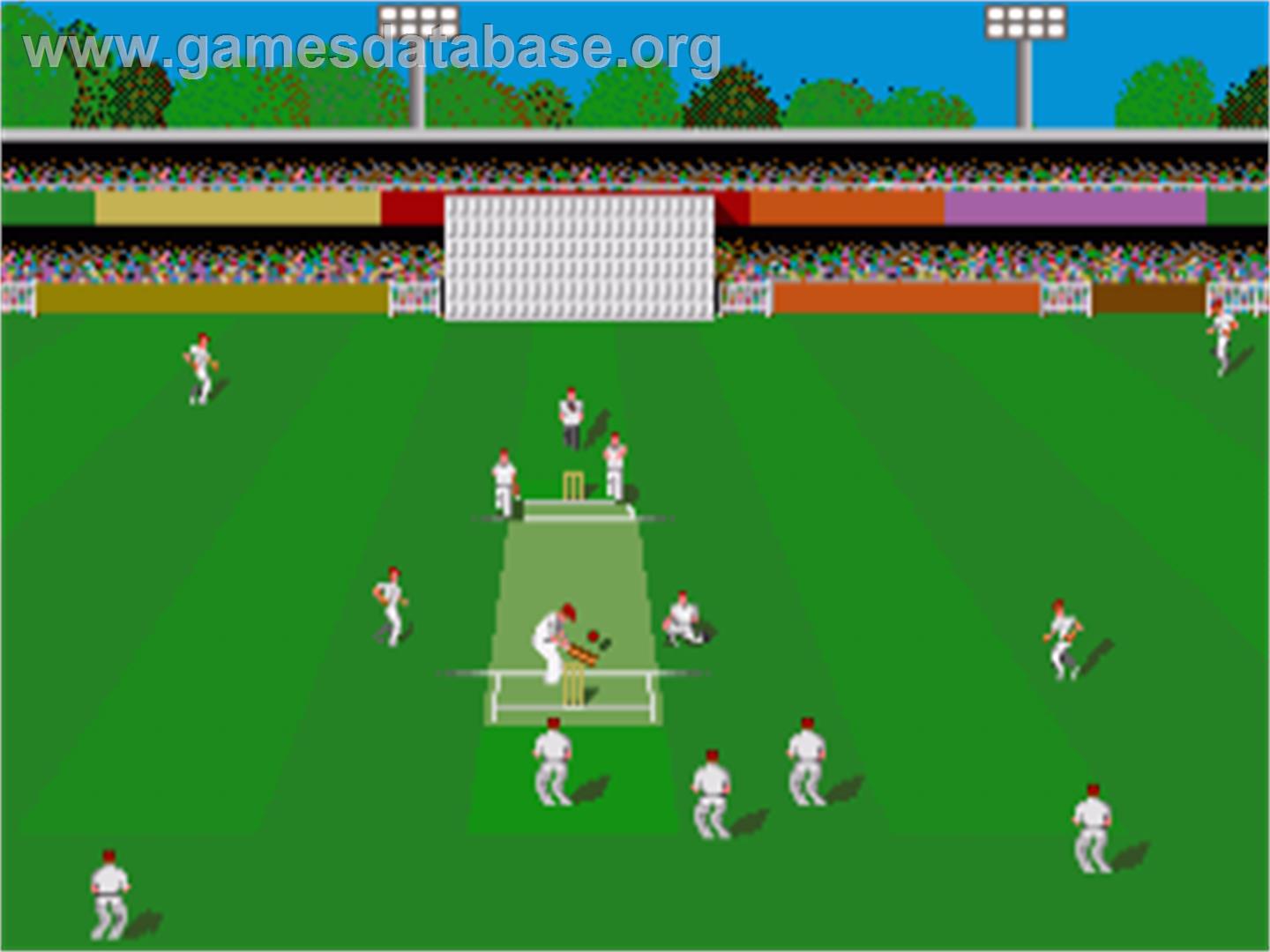 Cricket - Commodore Amiga - Artwork - In Game