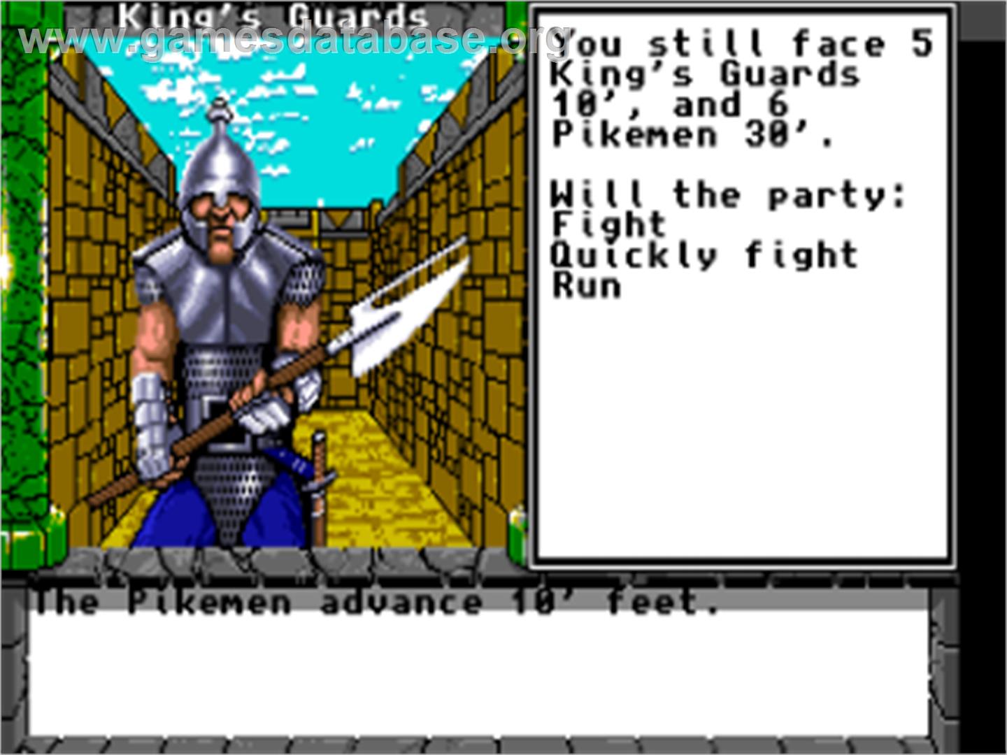 Dragon Wars - Commodore Amiga - Artwork - In Game