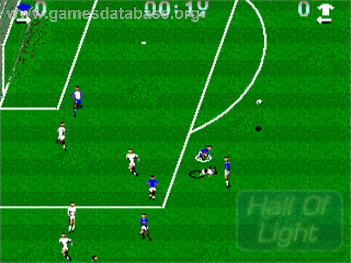 Euro Soccer - Commodore Amiga - Artwork - In Game