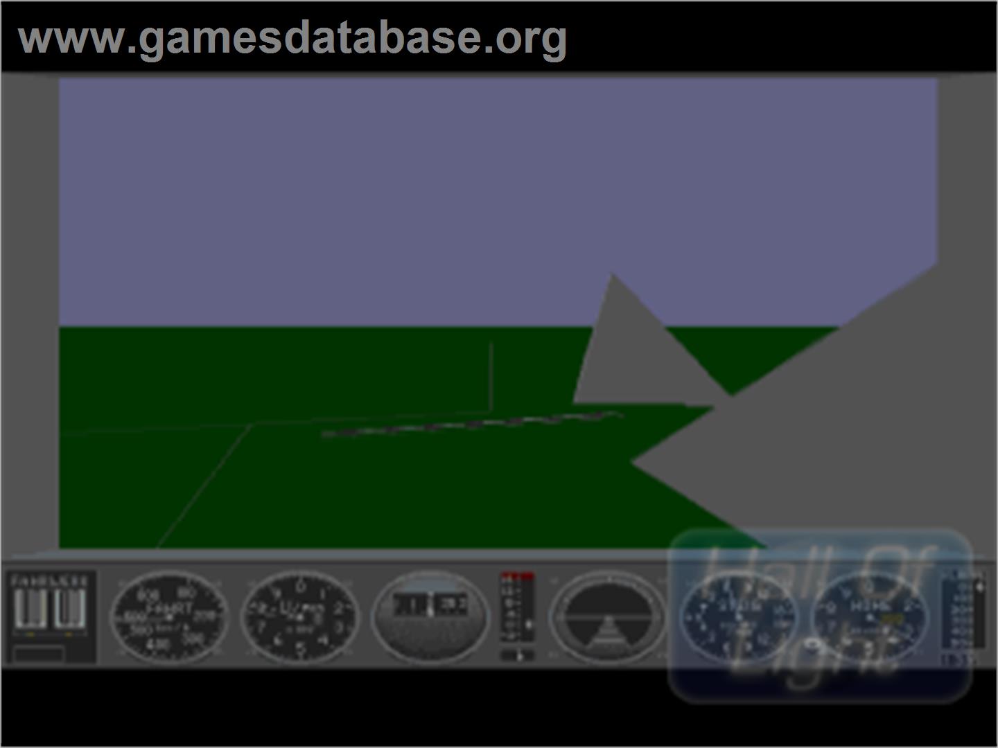 Fighter Duel Pro - Commodore Amiga - Artwork - In Game
