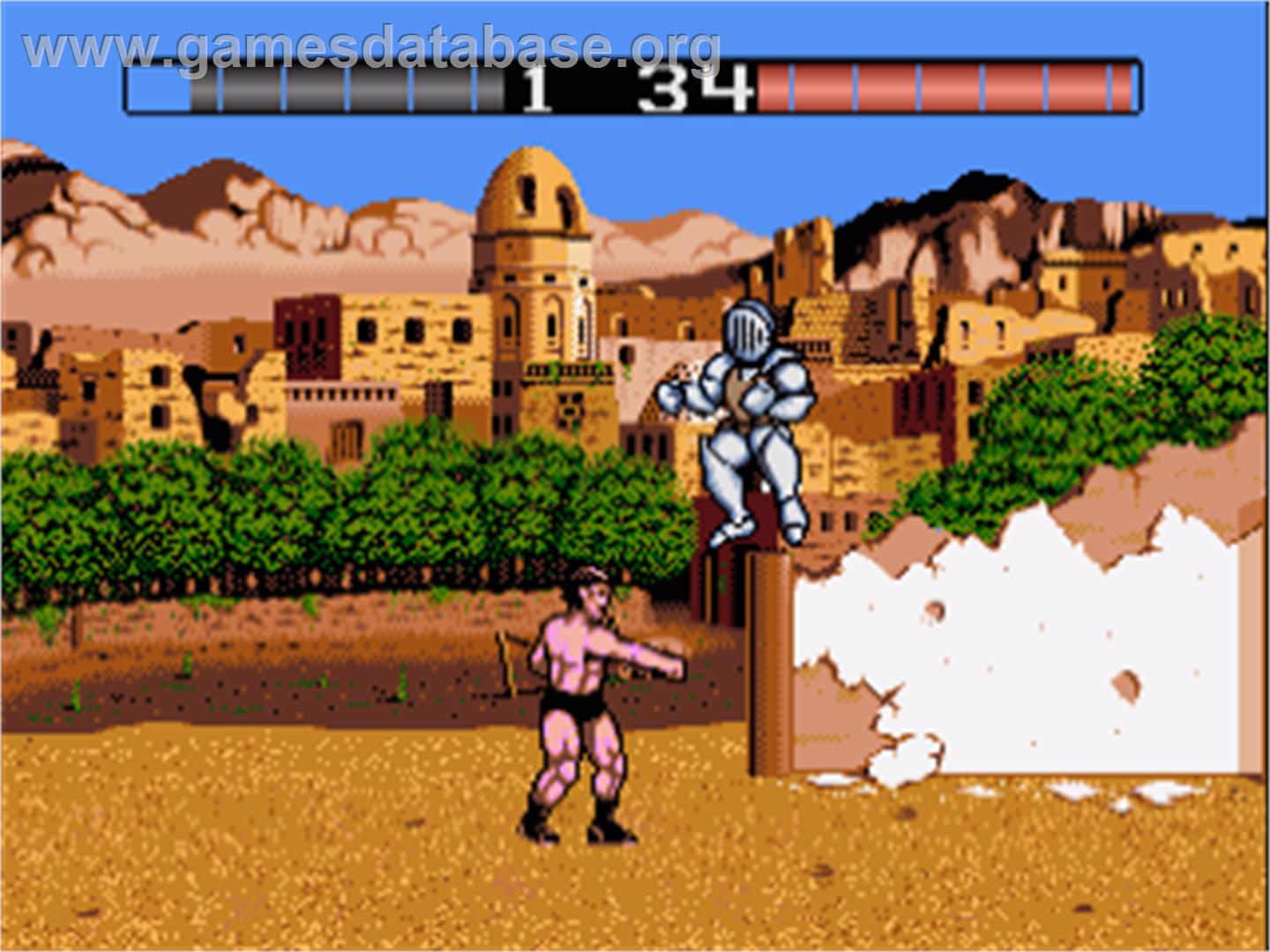 Fist Fighter - Commodore Amiga - Artwork - In Game