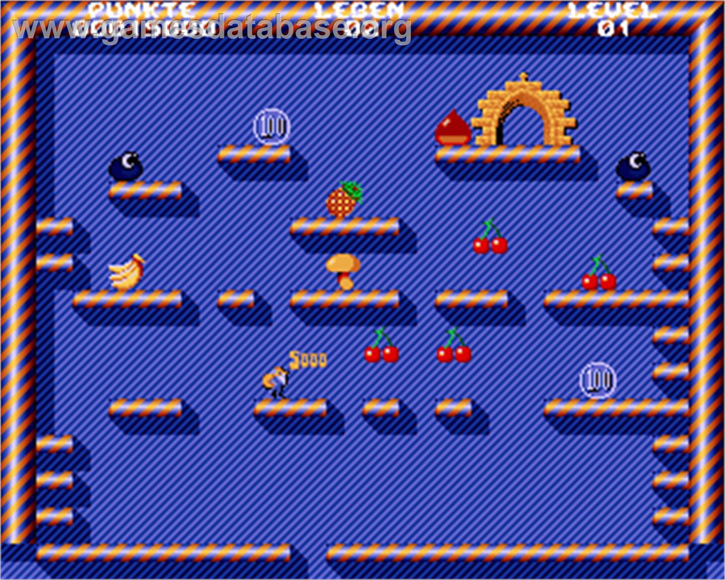 Gardener - Commodore Amiga - Artwork - In Game