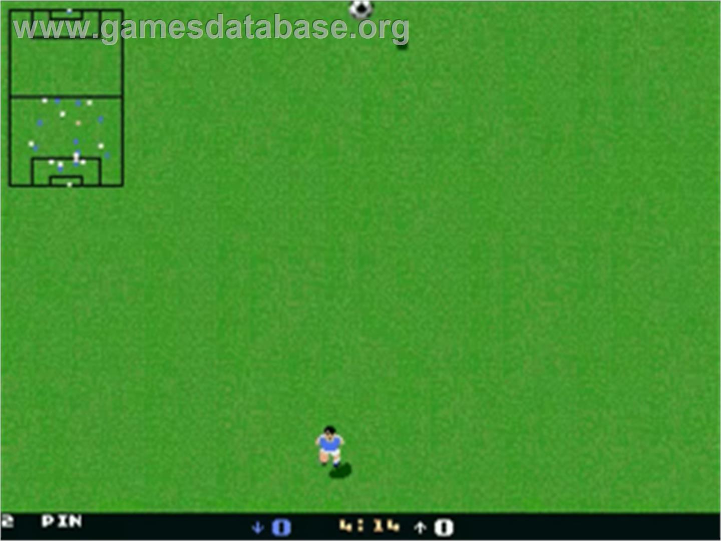 Goal! - Commodore Amiga - Artwork - In Game
