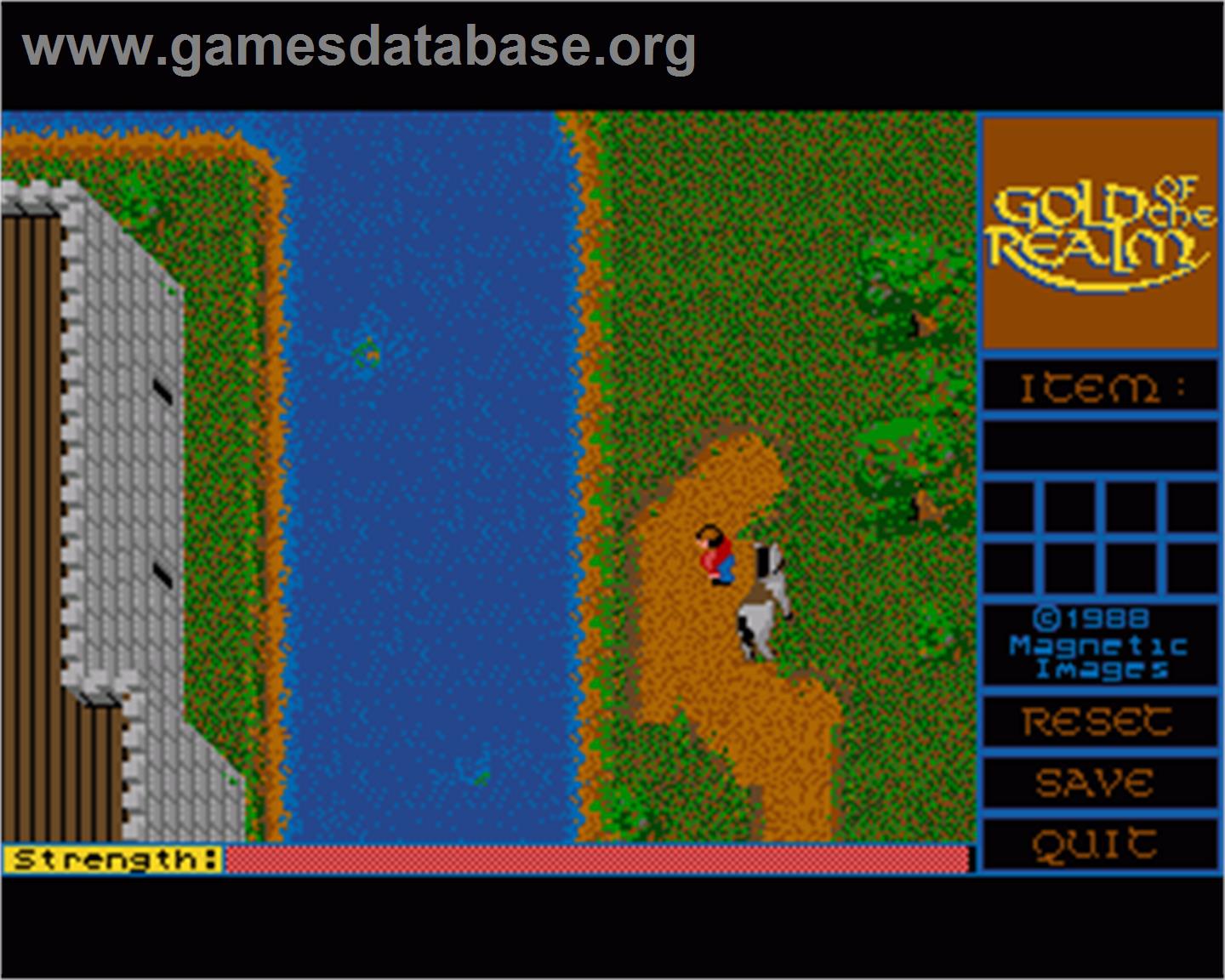 Gold Of The Realm - Commodore Amiga - Artwork - In Game