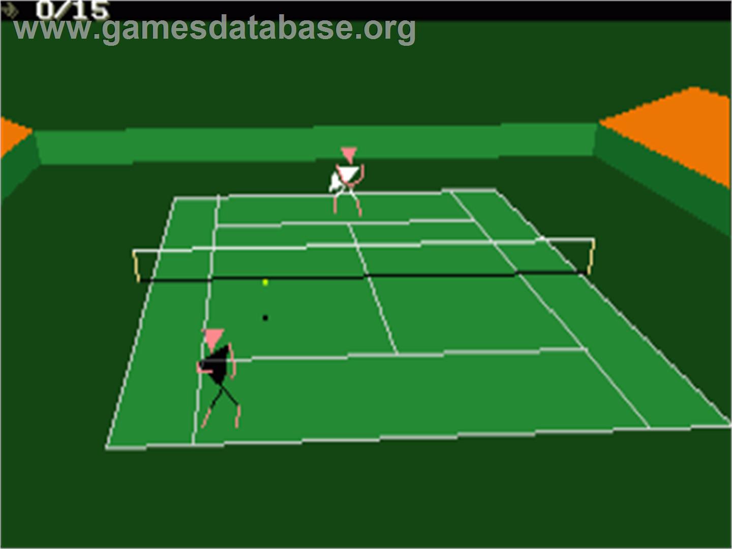 International 3D Tennis - Commodore Amiga - Artwork - In Game