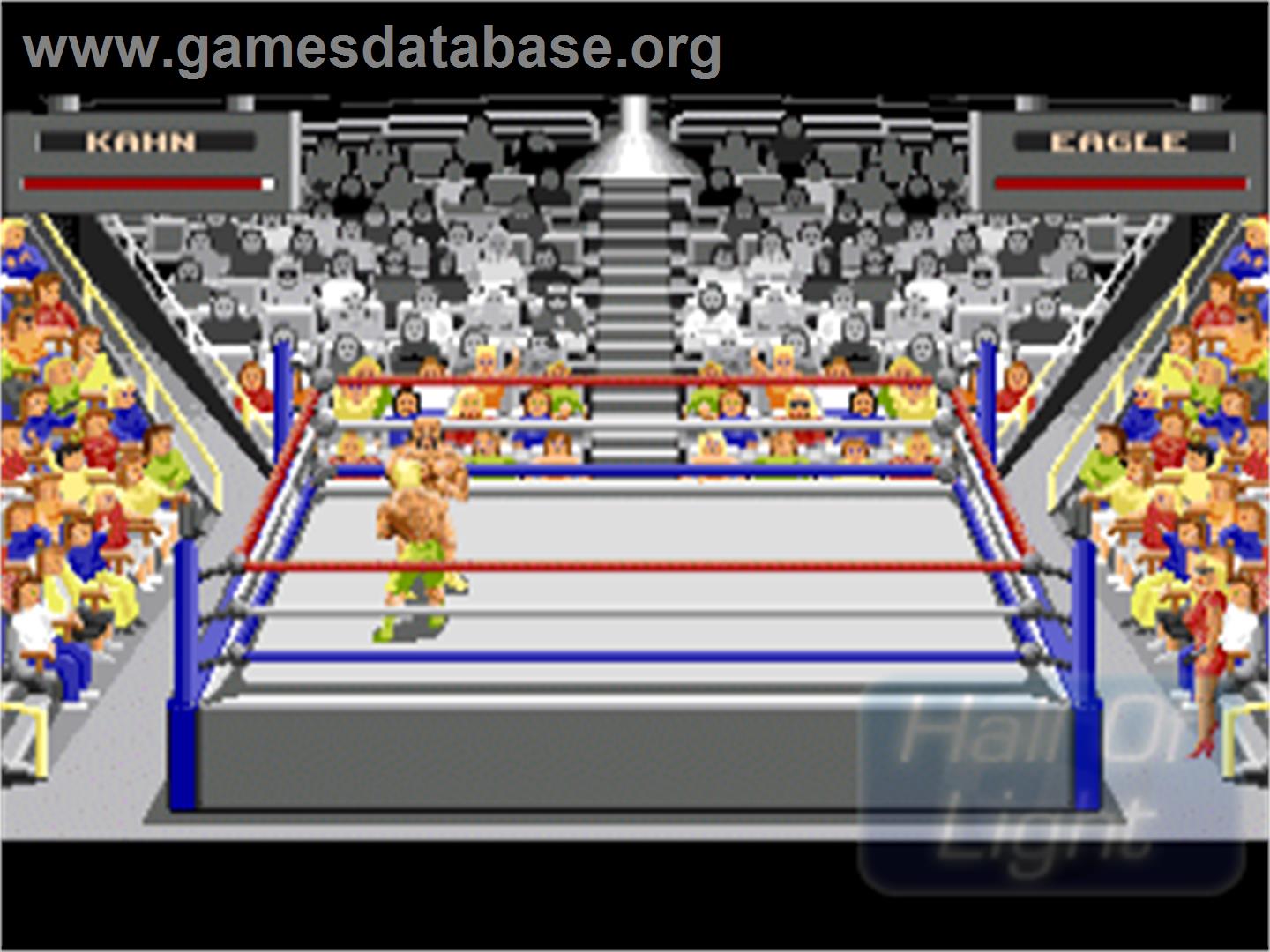 International Championship Wrestling - Commodore Amiga - Artwork - In Game