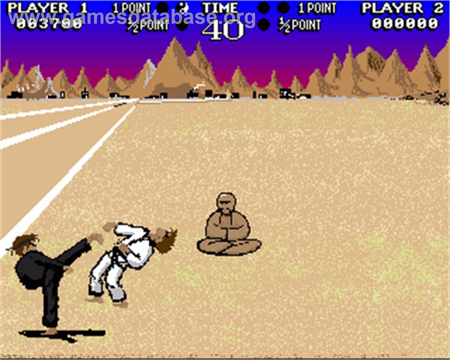 Karate Master - Commodore Amiga - Artwork - In Game