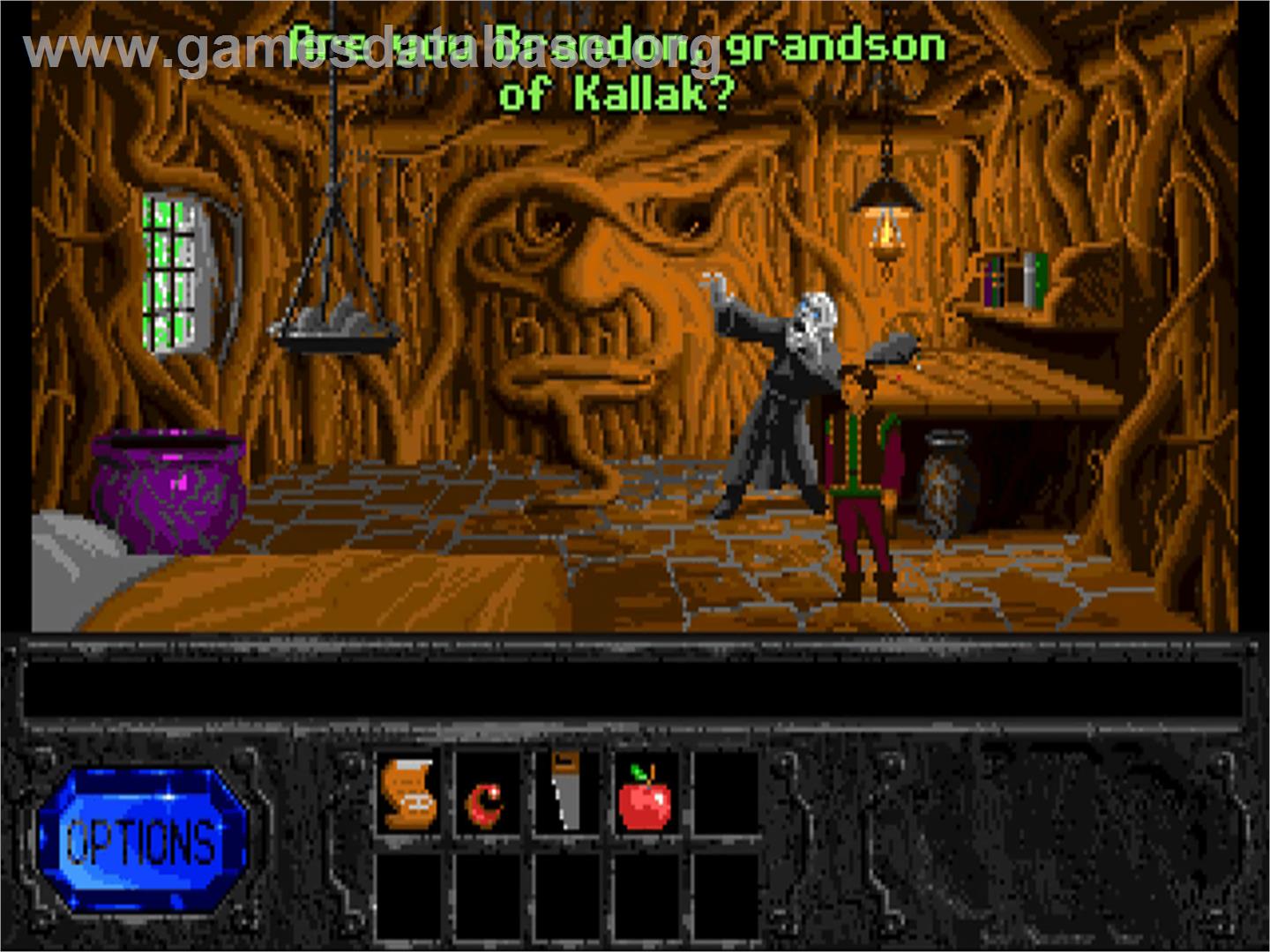 Legend of Kyrandia - Commodore Amiga - Artwork - In Game