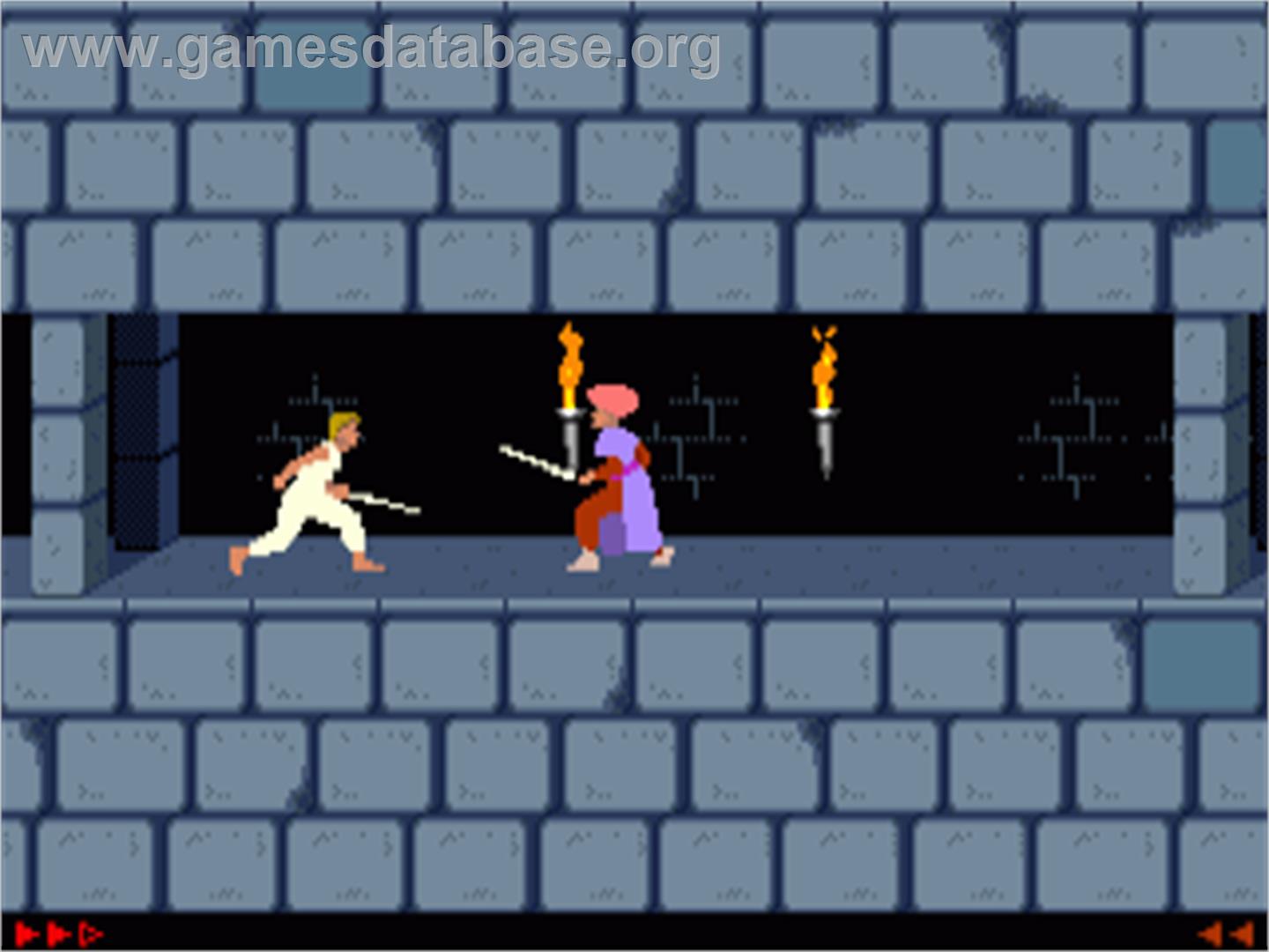 Prince of Persia - Commodore Amiga - Artwork - In Game