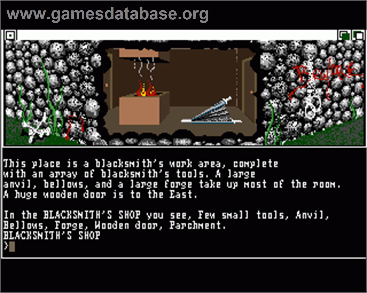 Realm Of The Warlock - Commodore Amiga - Artwork - In Game