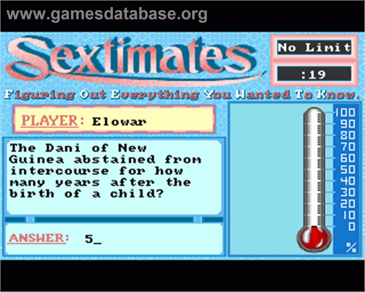 Sextimates - Commodore Amiga - Artwork - In Game
