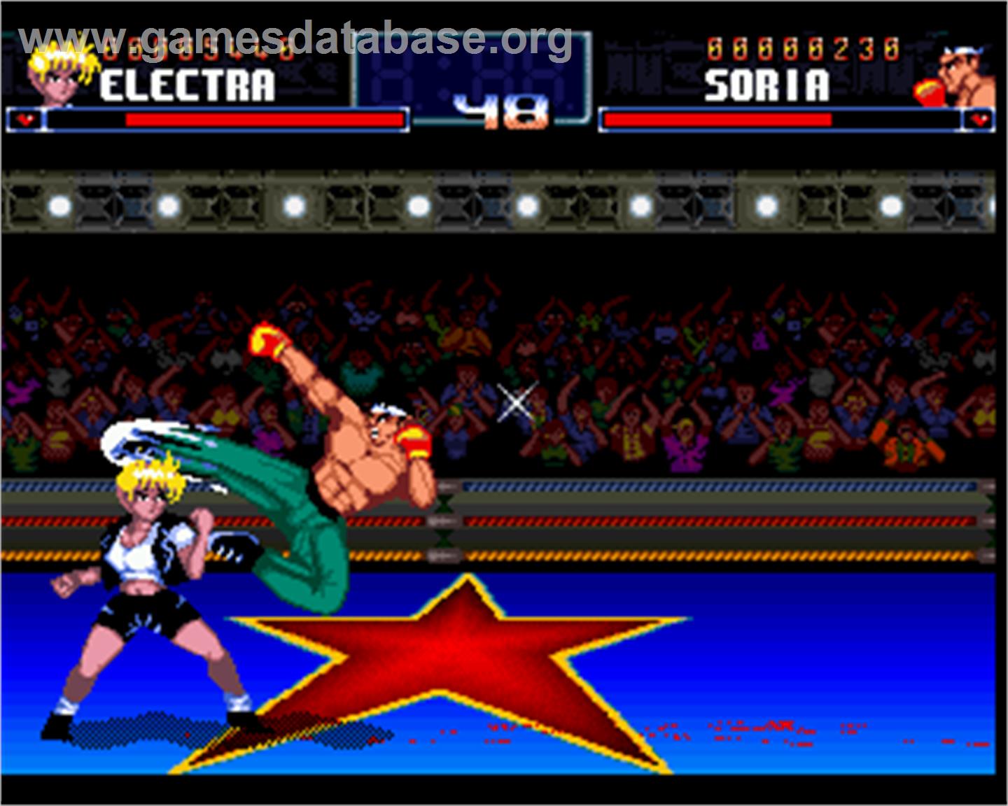 Shadow Fighter - Commodore Amiga - Artwork - In Game