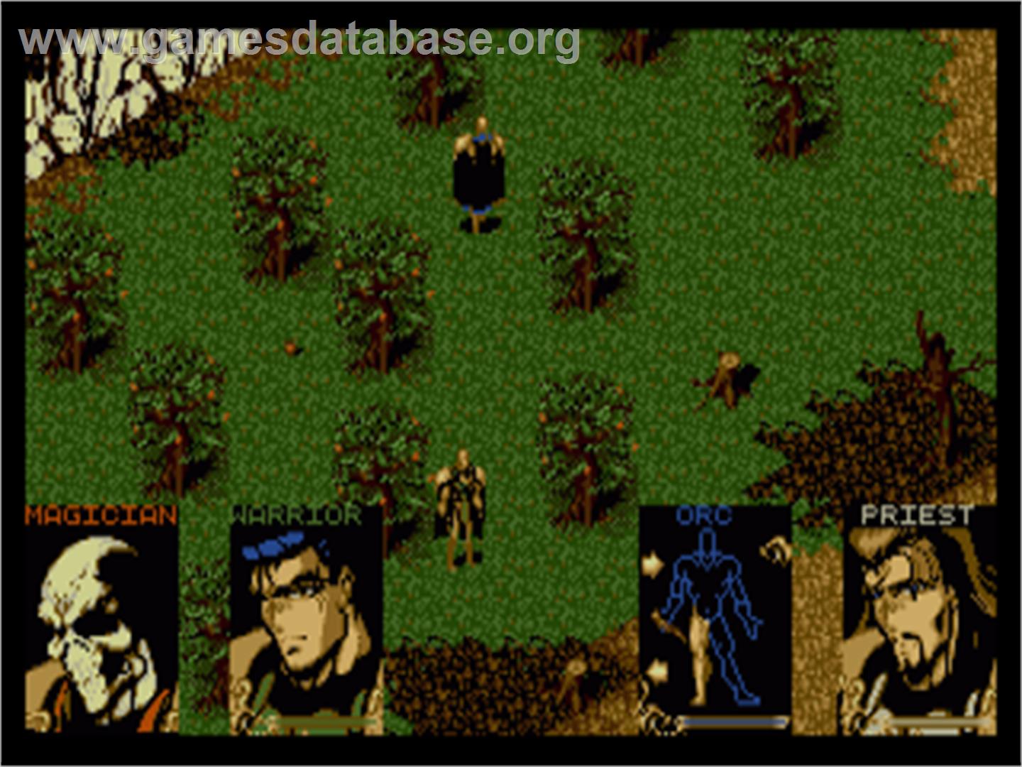 Shadowlands - Commodore Amiga - Artwork - In Game