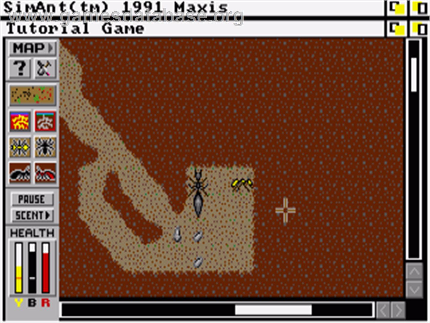 SimAnt - Commodore Amiga - Artwork - In Game