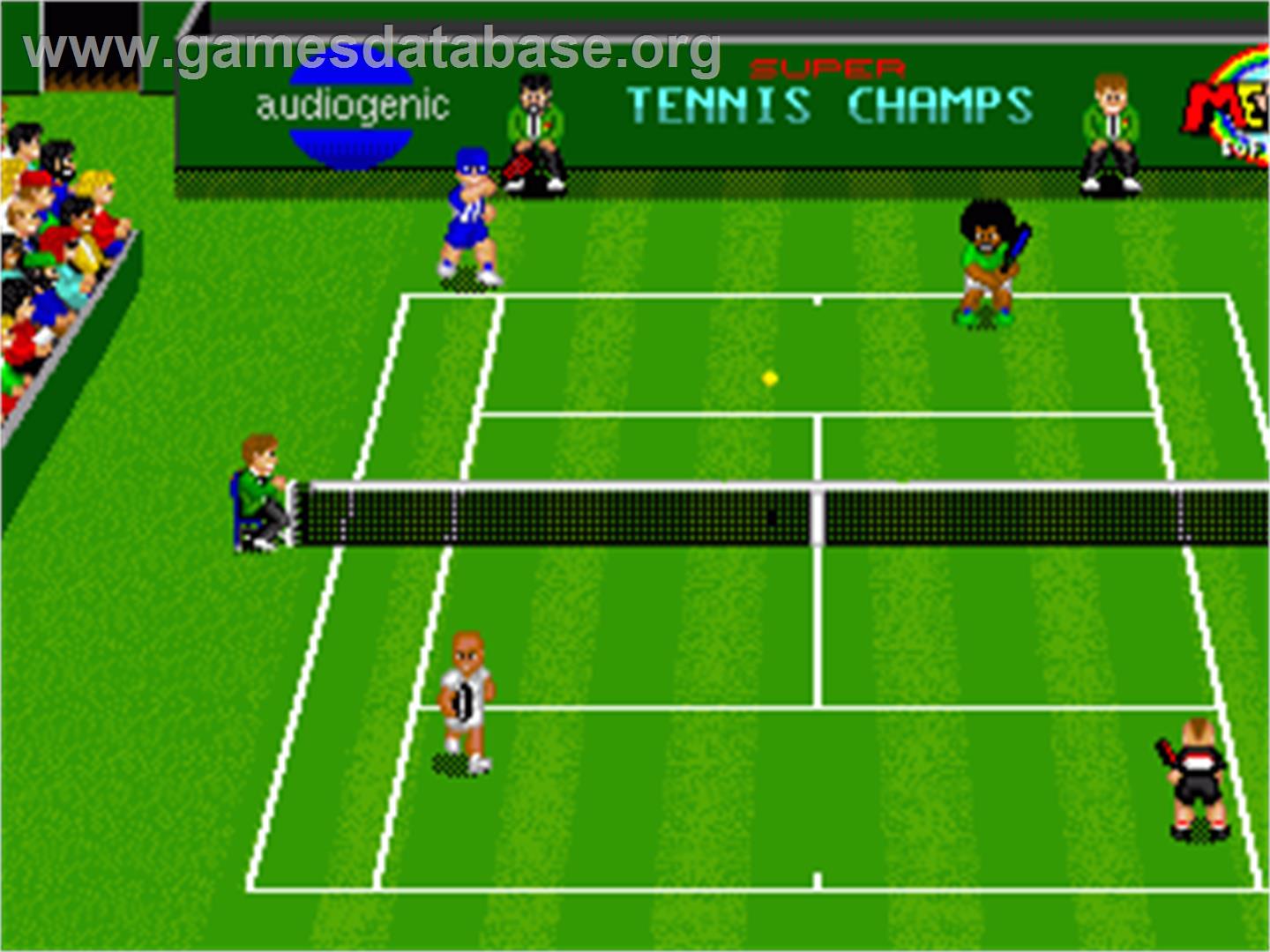 Super Tennis Champs - Commodore Amiga - Artwork - In Game
