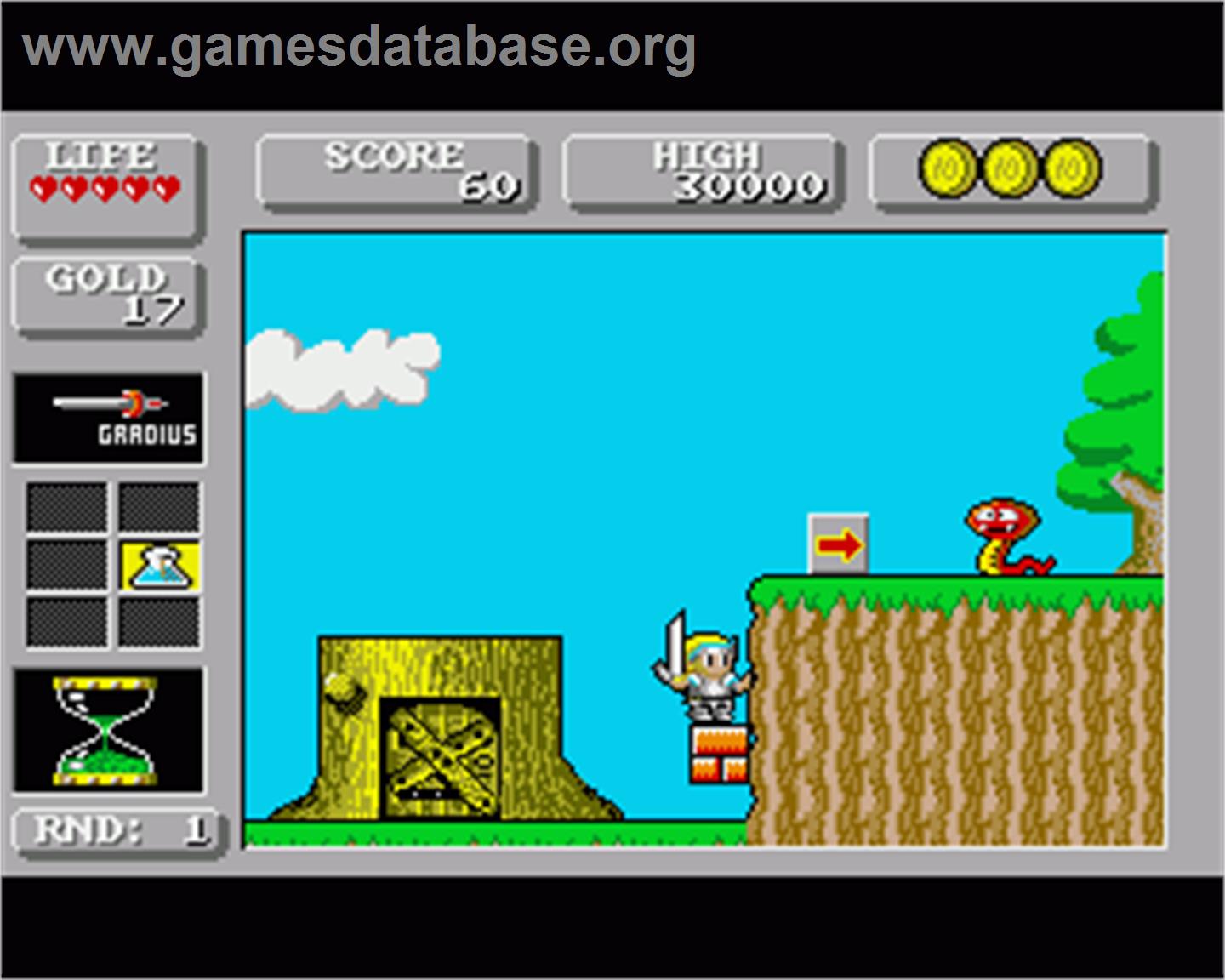 Super Wonderboy In Monsterland - Commodore Amiga - Artwork - In Game