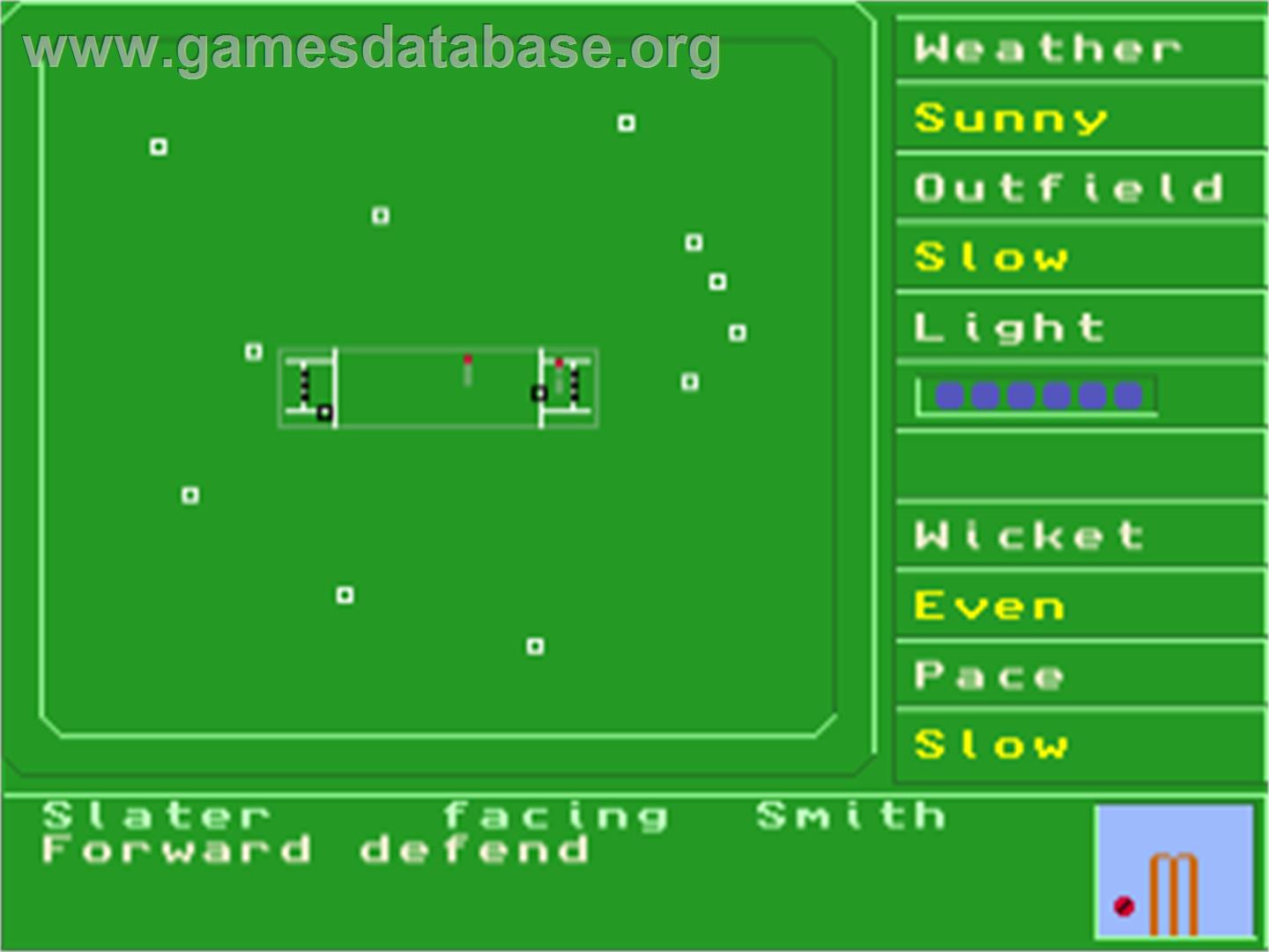 Test Match Cricket - Commodore Amiga - Artwork - In Game