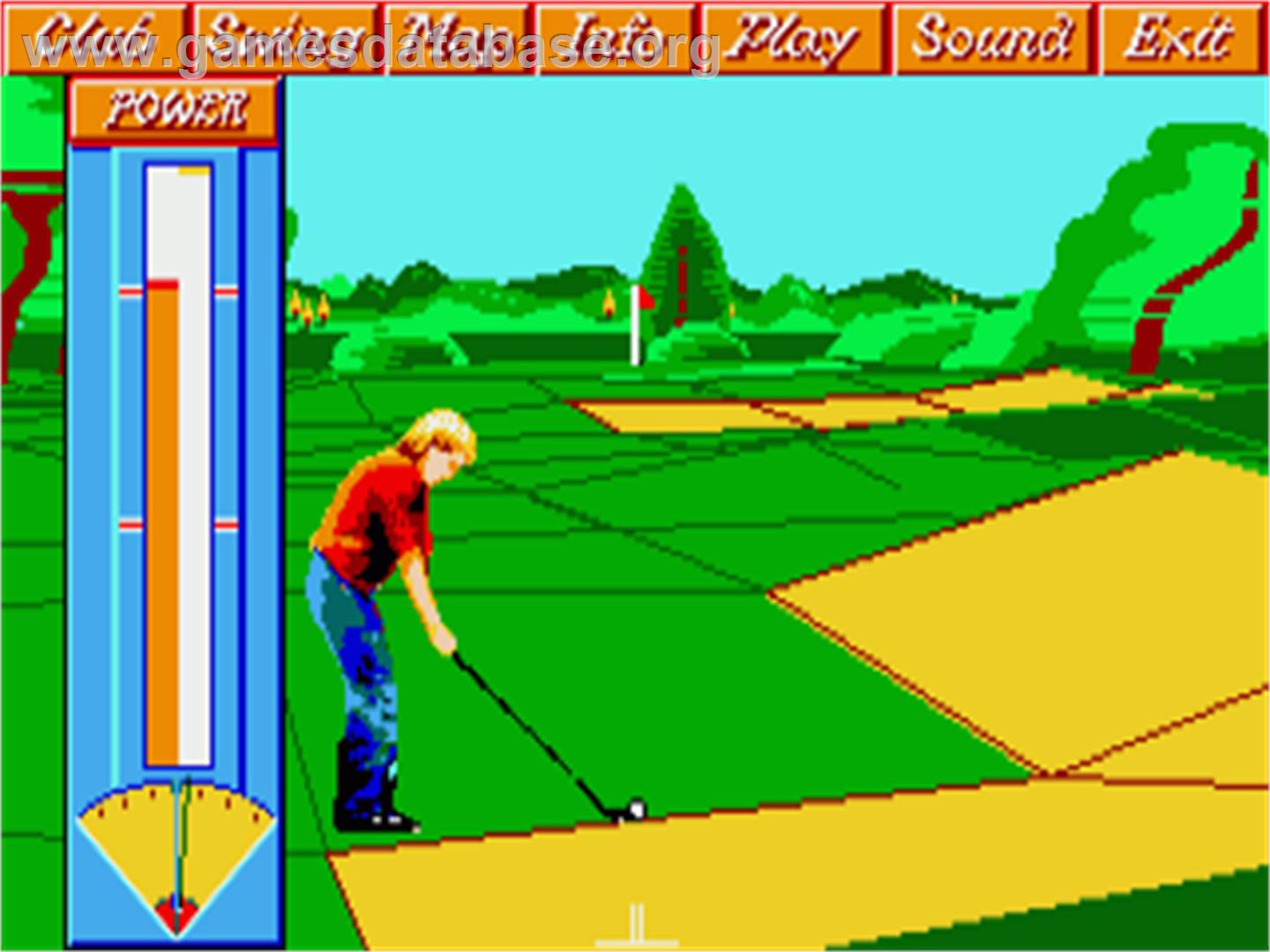 Ultimate! Golf - Commodore Amiga - Artwork - In Game