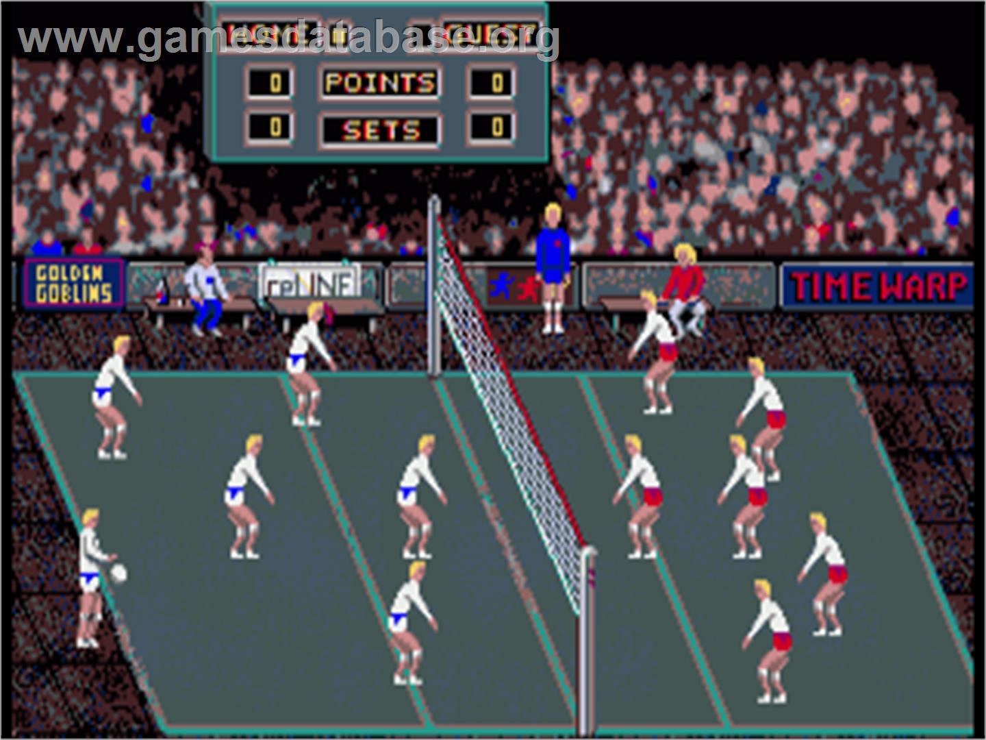 Volleyball Simulator - Commodore Amiga - Artwork - In Game