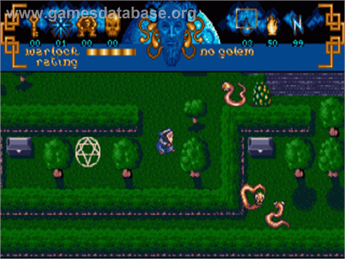 Warlock - The Avenger - Commodore Amiga - Artwork - In Game