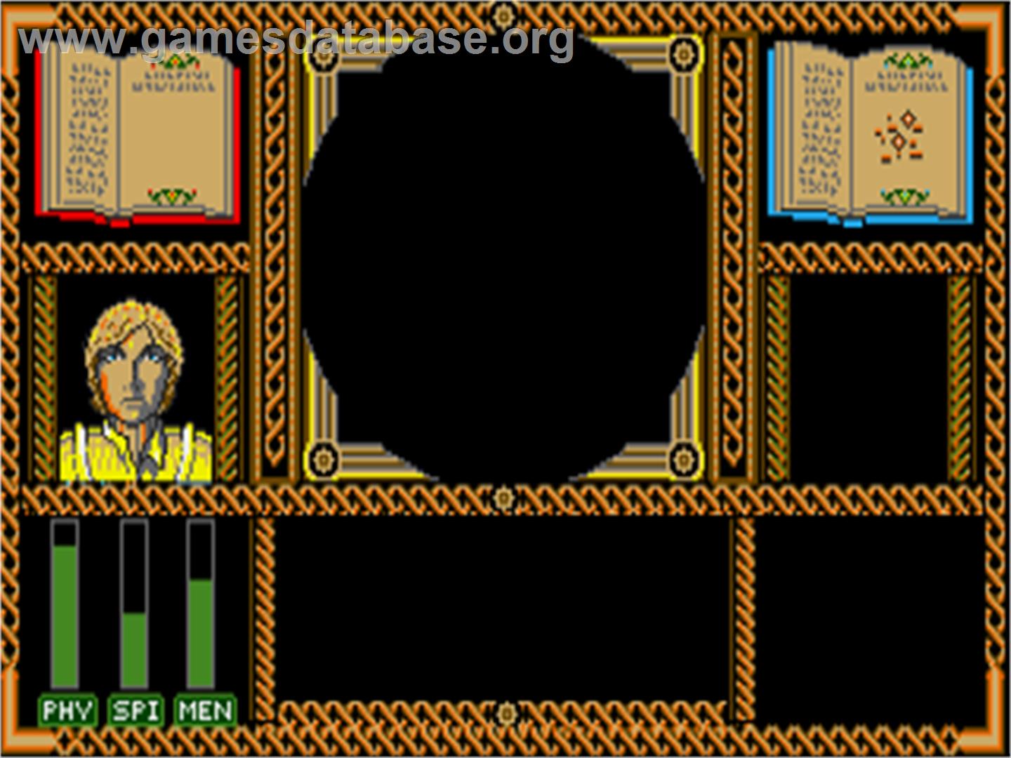 Wizard Warz - Commodore Amiga - Artwork - In Game