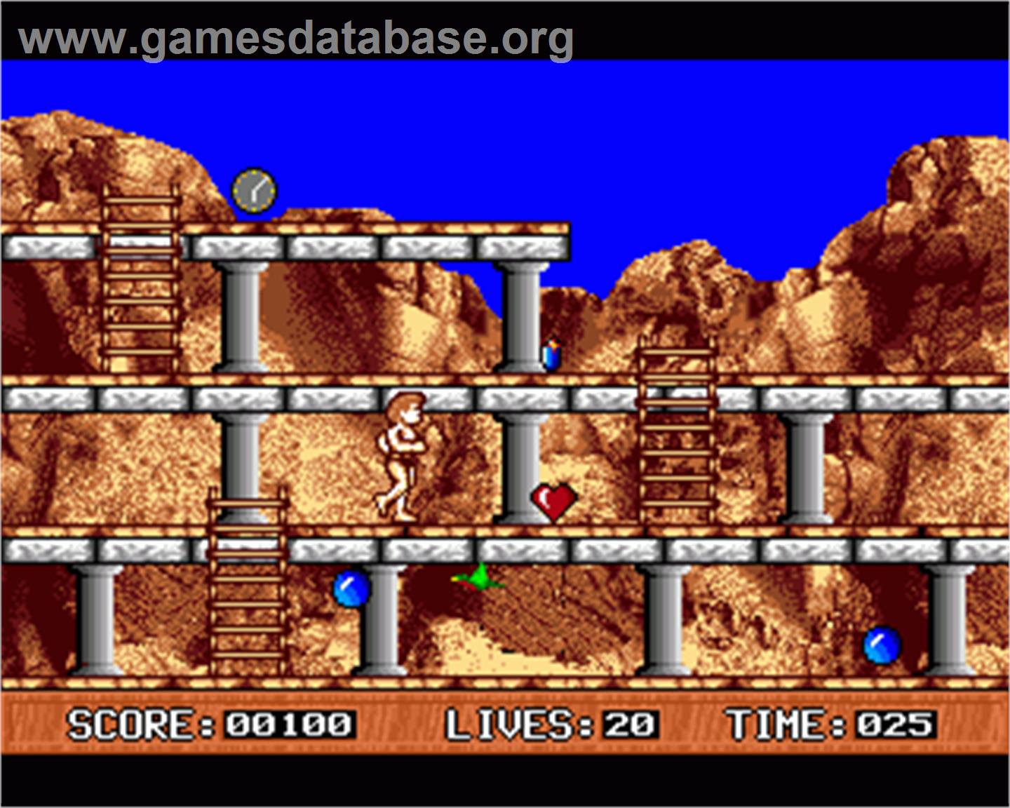 Wizards Castle - Commodore Amiga - Artwork - In Game