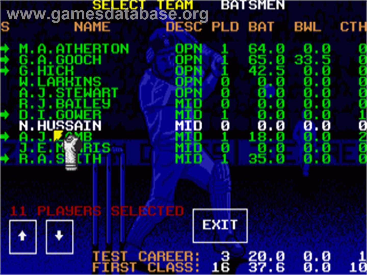 World Cricket - Commodore Amiga - Artwork - In Game