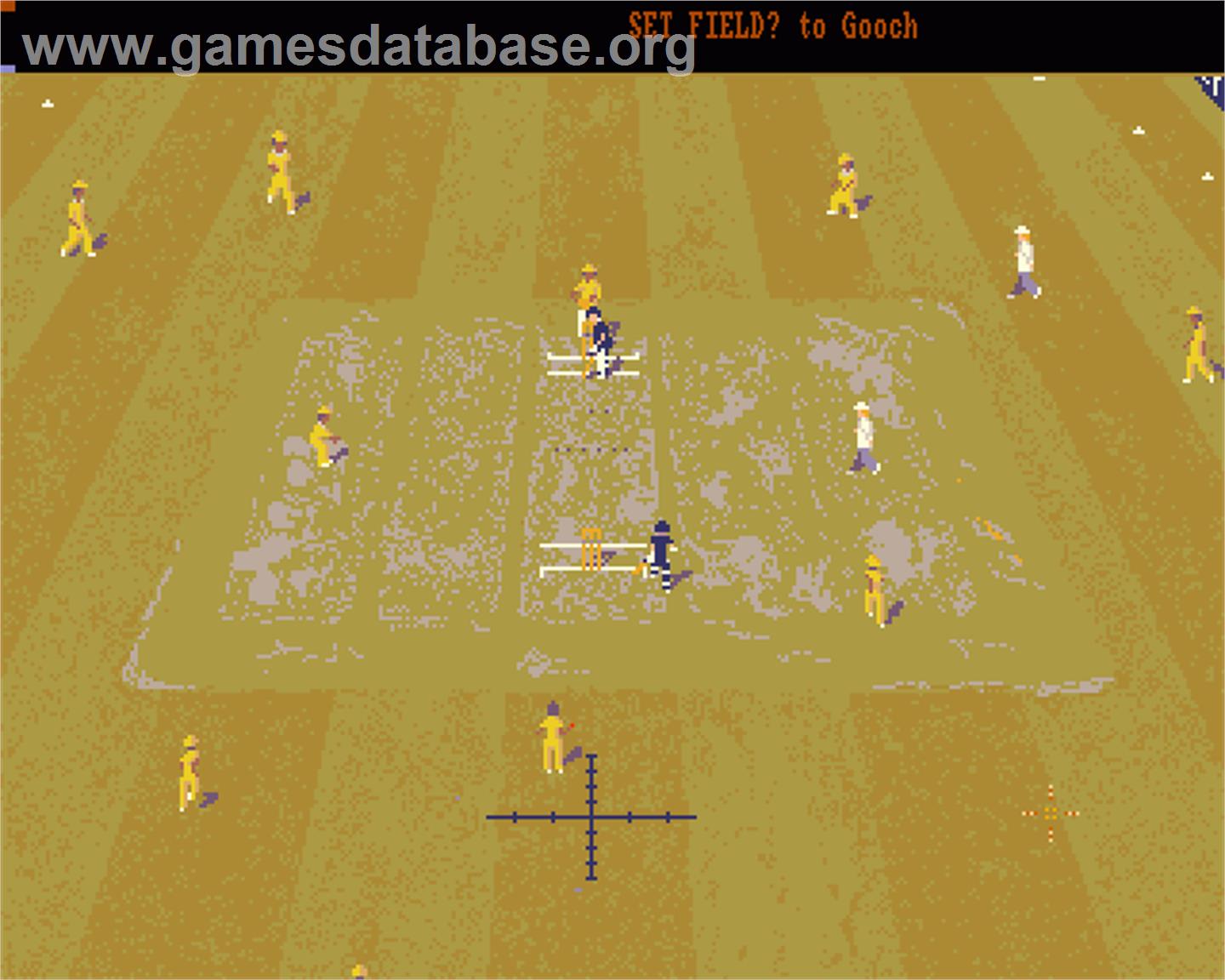 World Cup Cricket Masters - Commodore Amiga - Artwork - In Game