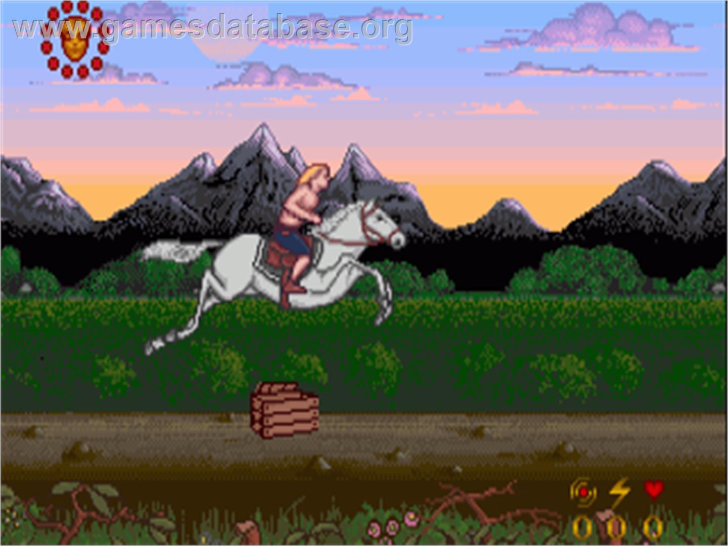 Wrath Of The Demon - Commodore Amiga - Artwork - In Game