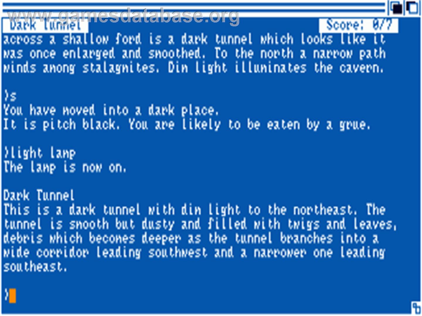 Zork II: The Wizard of Frobozz - Commodore Amiga - Artwork - In Game