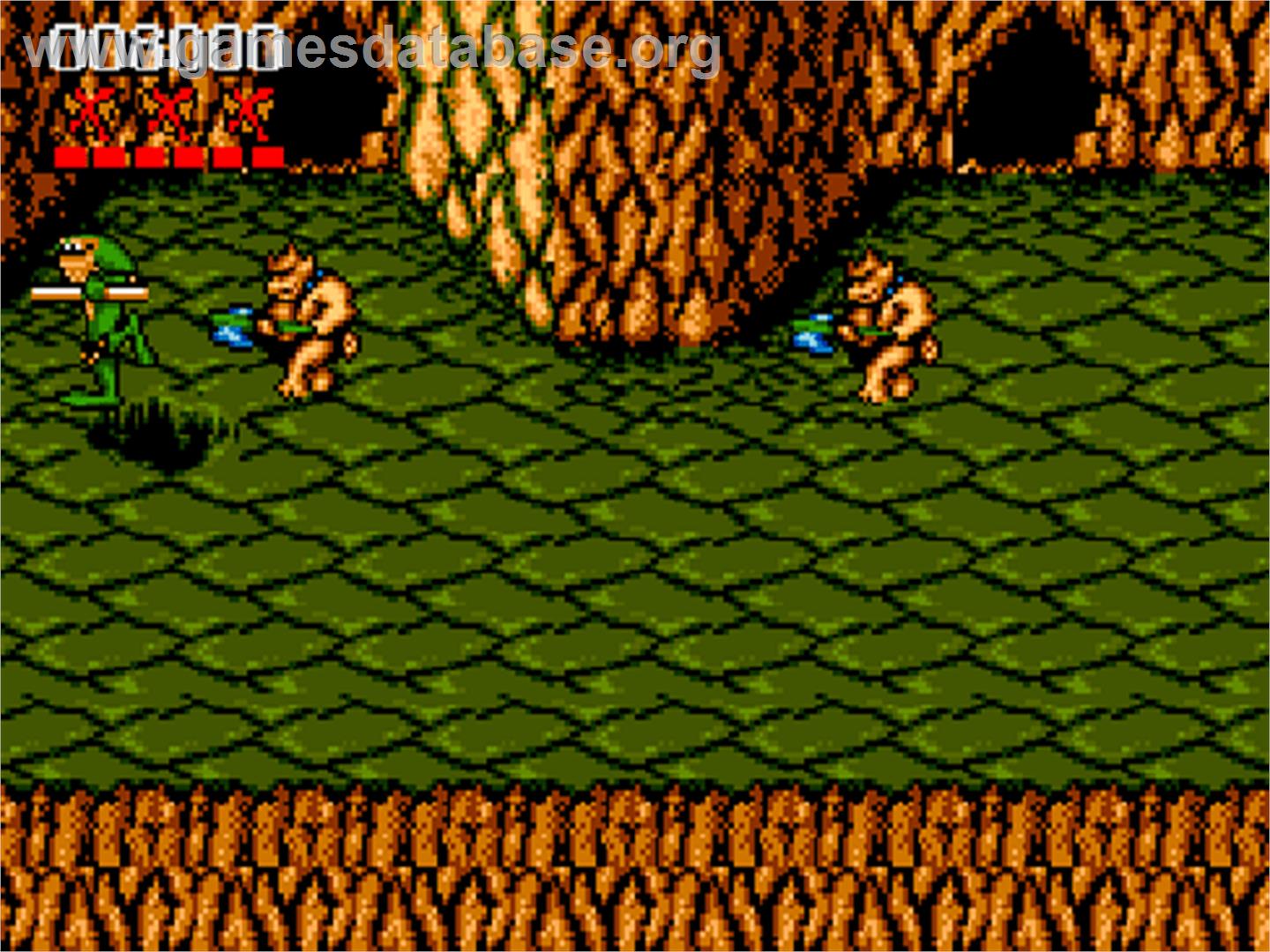 Battle Toads - Commodore Amiga CD32 - Artwork - In Game