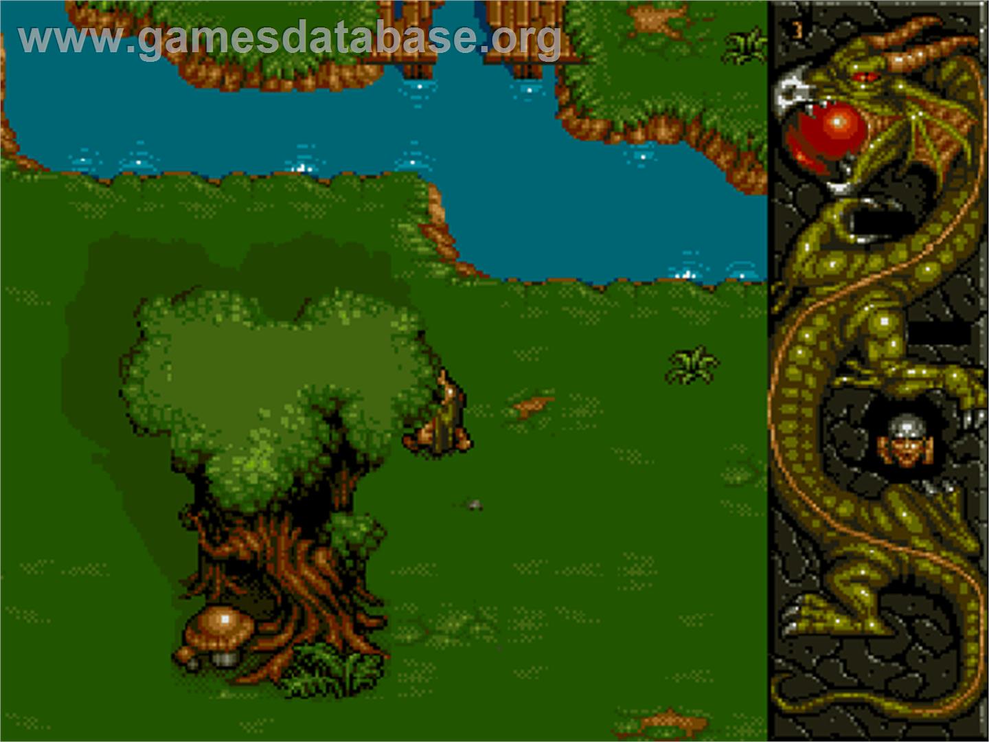 Dragonstone - Commodore Amiga CD32 - Artwork - In Game