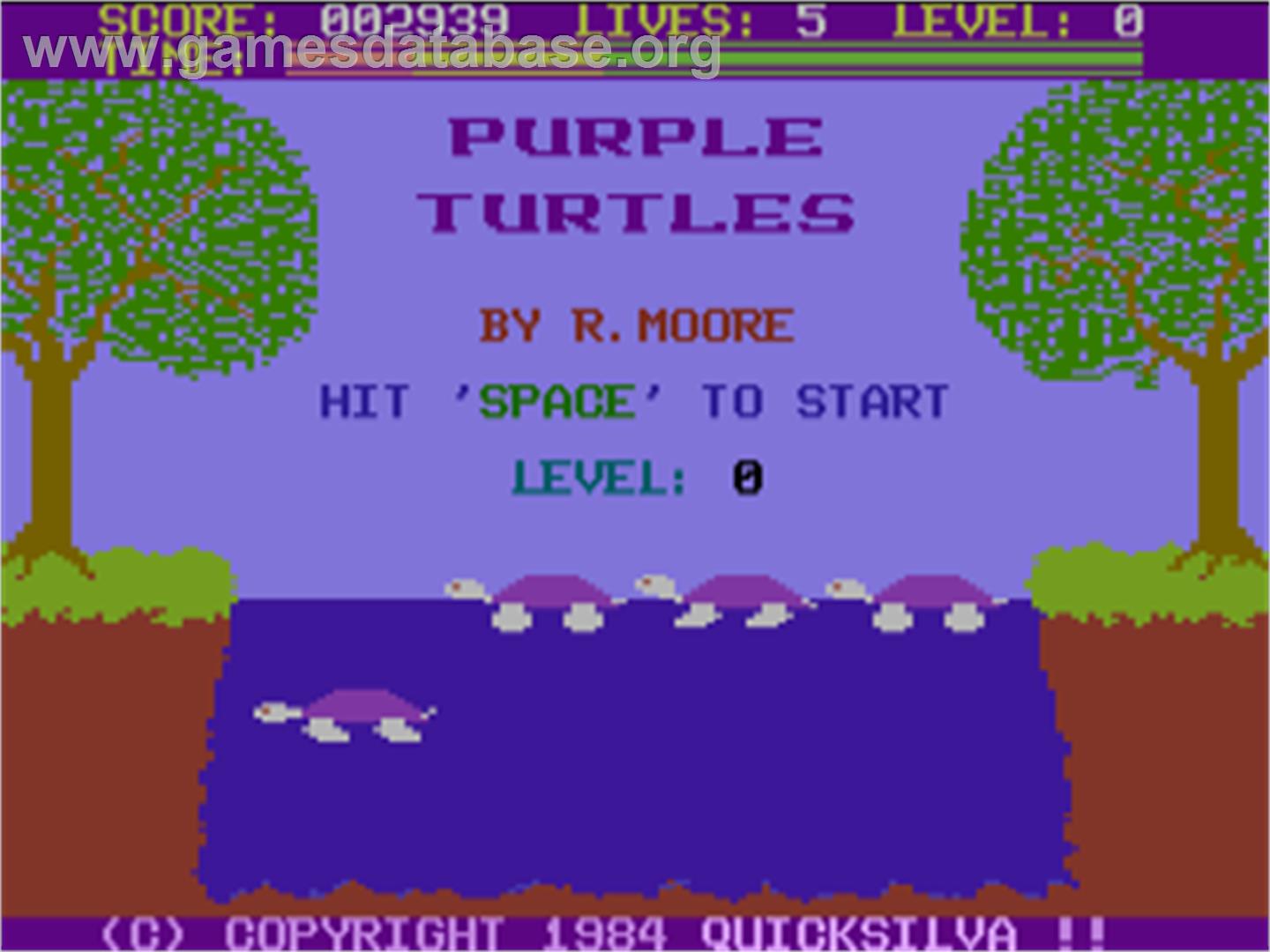 Purple Turtles - Commodore Plus 4 - Artwork - Title Screen