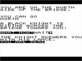 In game image of Castlemaze Adventure on the Commodore VIC-20.