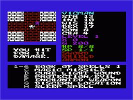 In game image of Realms Of Quest 1 on the Commodore VIC-20.
